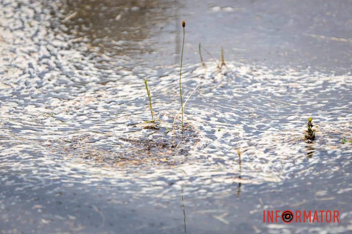 Школьное футбольное поле ушло под воду: на Конотопской в ​​Днепре прорвало водопровод 12