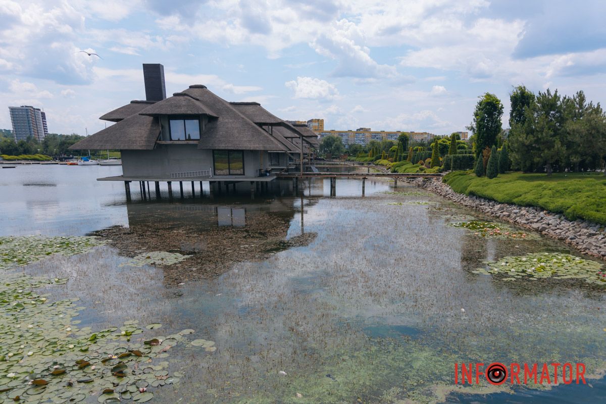 Наразі причини загибелі риби невідомі