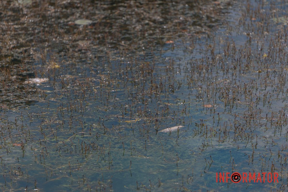 Фото: Денис Чубченко 