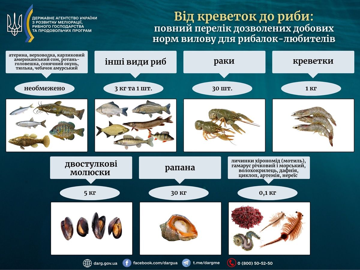 Що можна ловити рибалкам-любителям