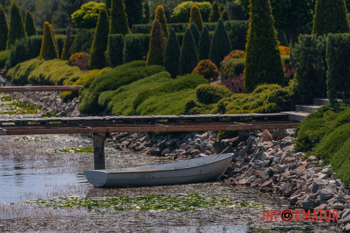 Казка на воді: у яхт-клубі “Січ” розкрились білі, рожеві та персикові лілії 38