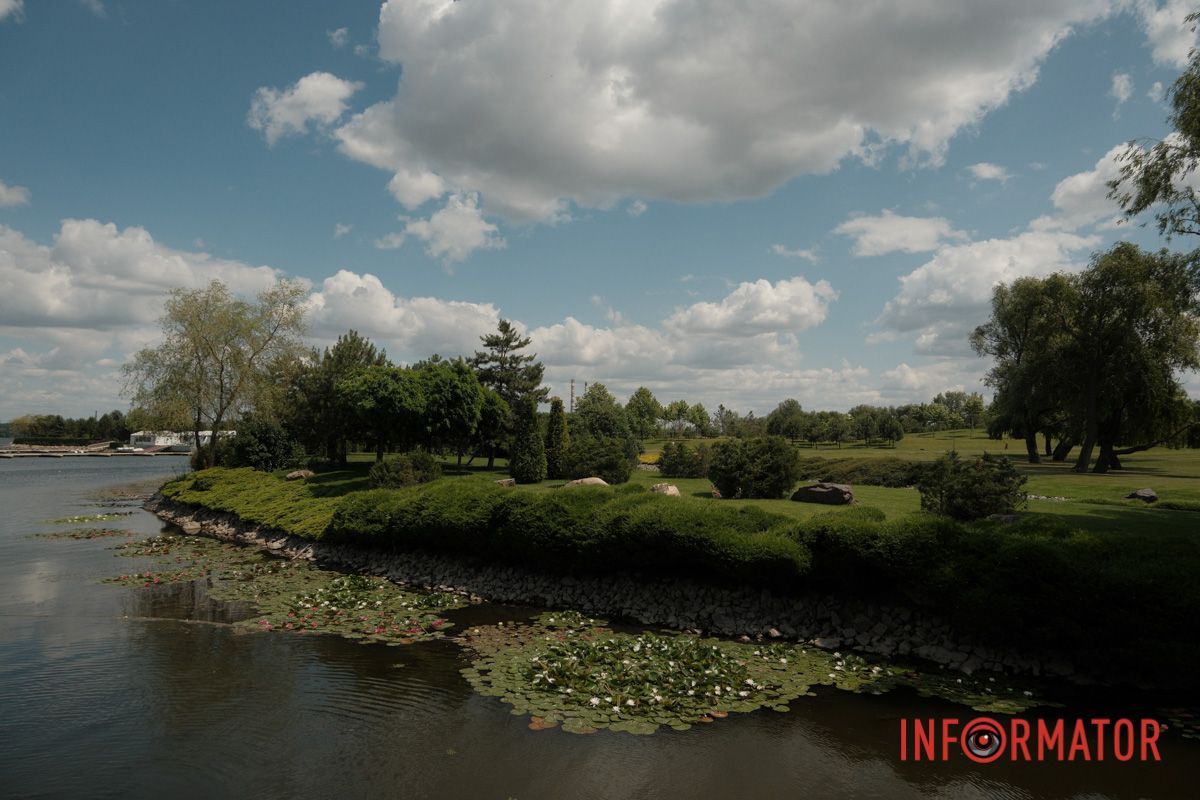 Казка на воді: у яхт-клубі “Січ” розкрились білі, рожеві та персикові лілії 46
