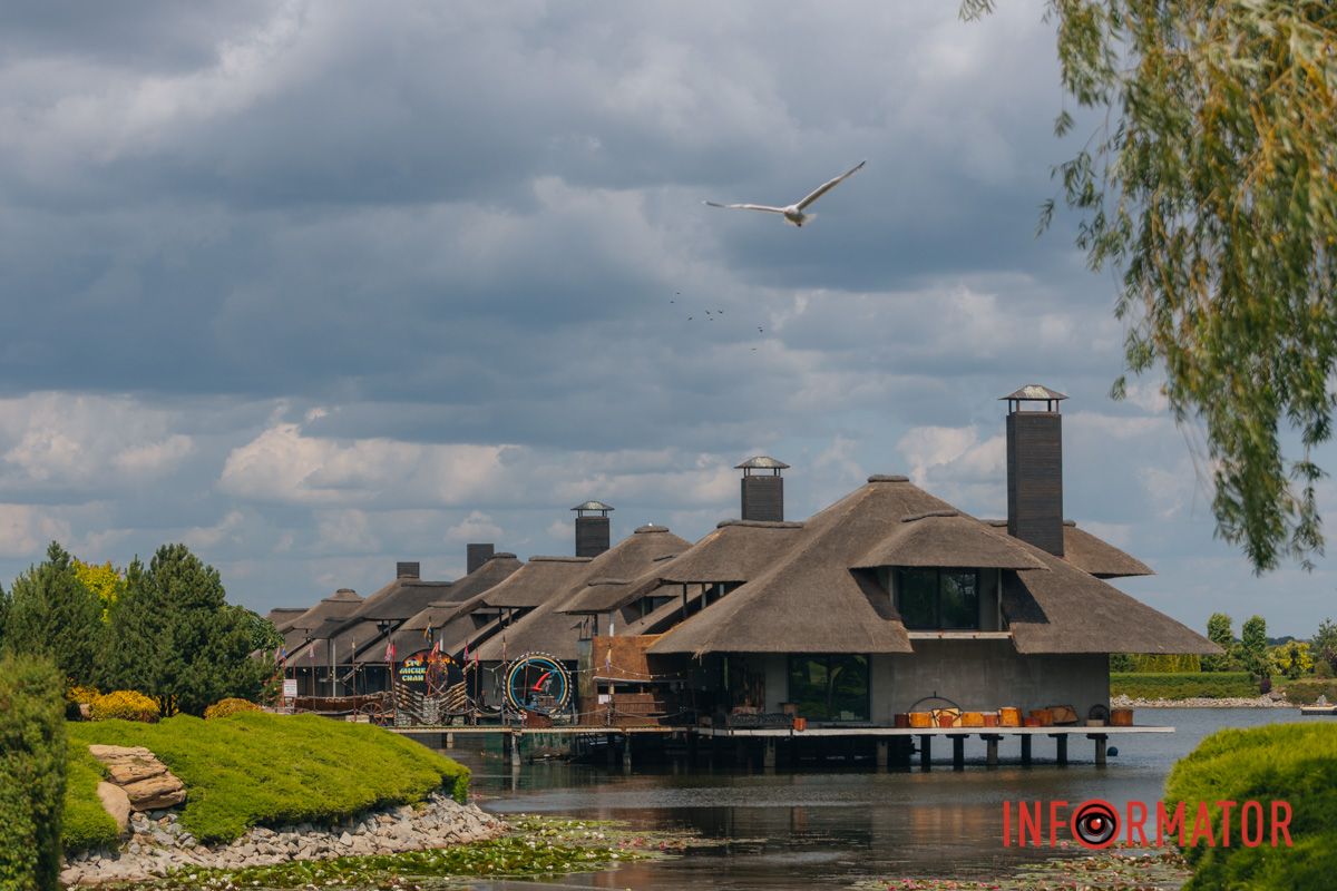 Казка на воді: у яхт-клубі “Січ” розкрились білі, рожеві та персикові лілії 47