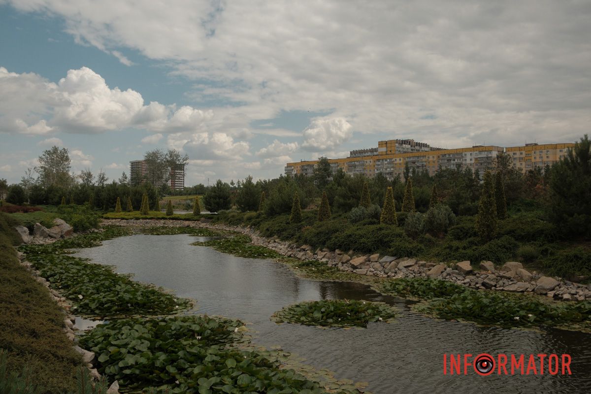 Казка на воді: у яхт-клубі “Січ” розкрились білі, рожеві та персикові лілії 105