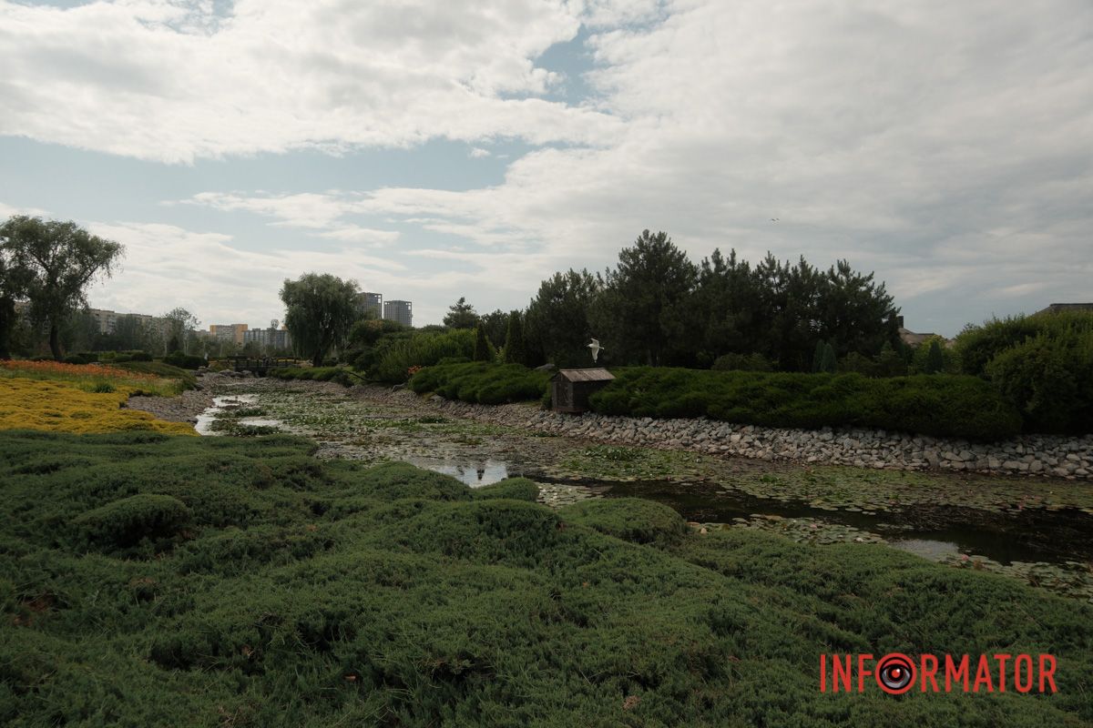 Казка на воді: у яхт-клубі “Січ” розкрились білі, рожеві та персикові лілії 106