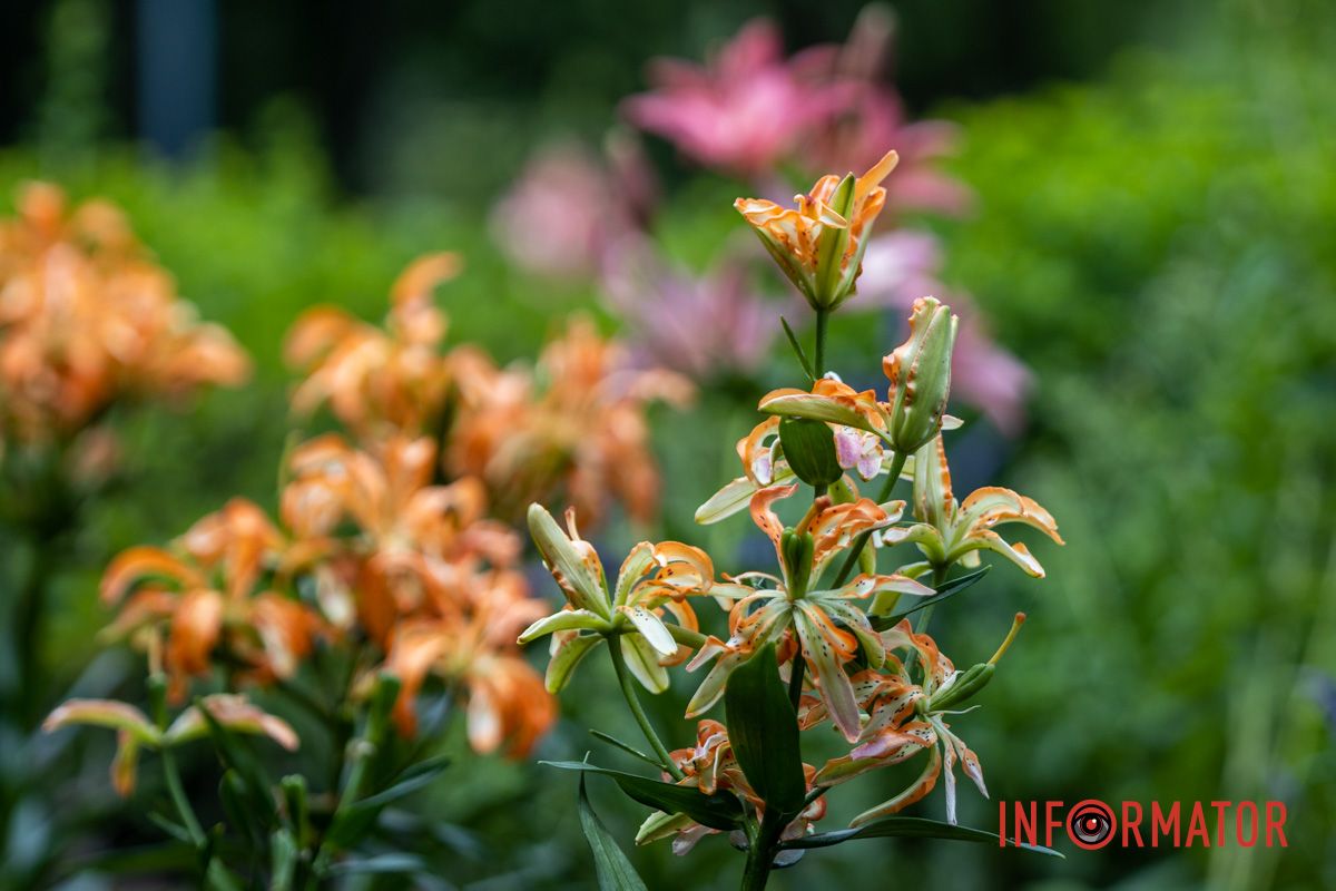 Теперь — постоянно меняющаяся живописная композиция Теперь — постоянно меняющаяся живописная композиция