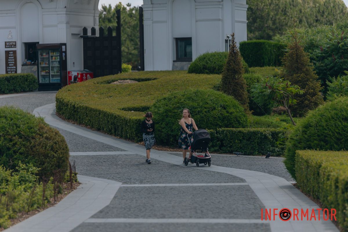 Яхт-клуб "Сечь" летом: уголок природы в сердце Днепра 5