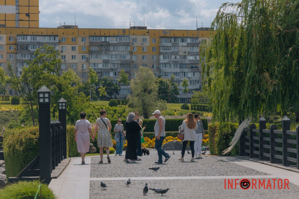 Яхт-клуб "Сечь" летом: уголок природы в сердце Днепра 9