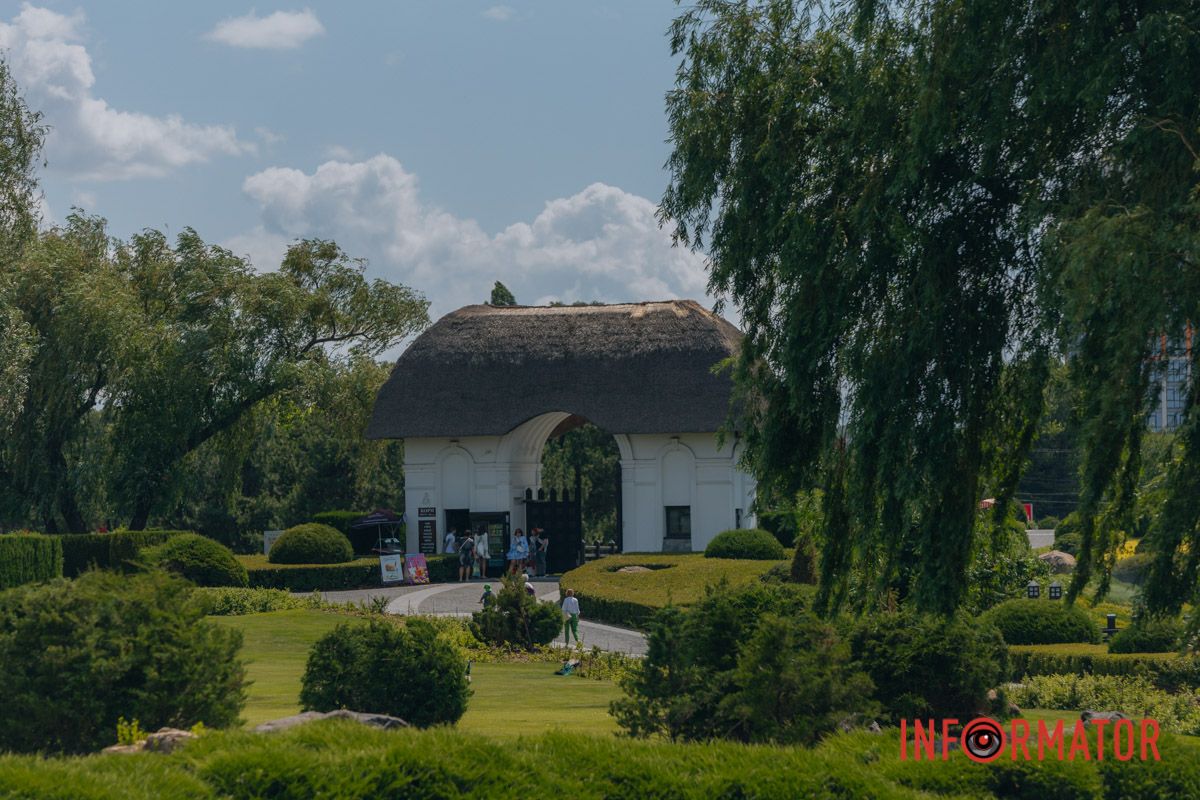 Яхт-клуб "Сечь" летом: уголок природы в сердце Днепра 10