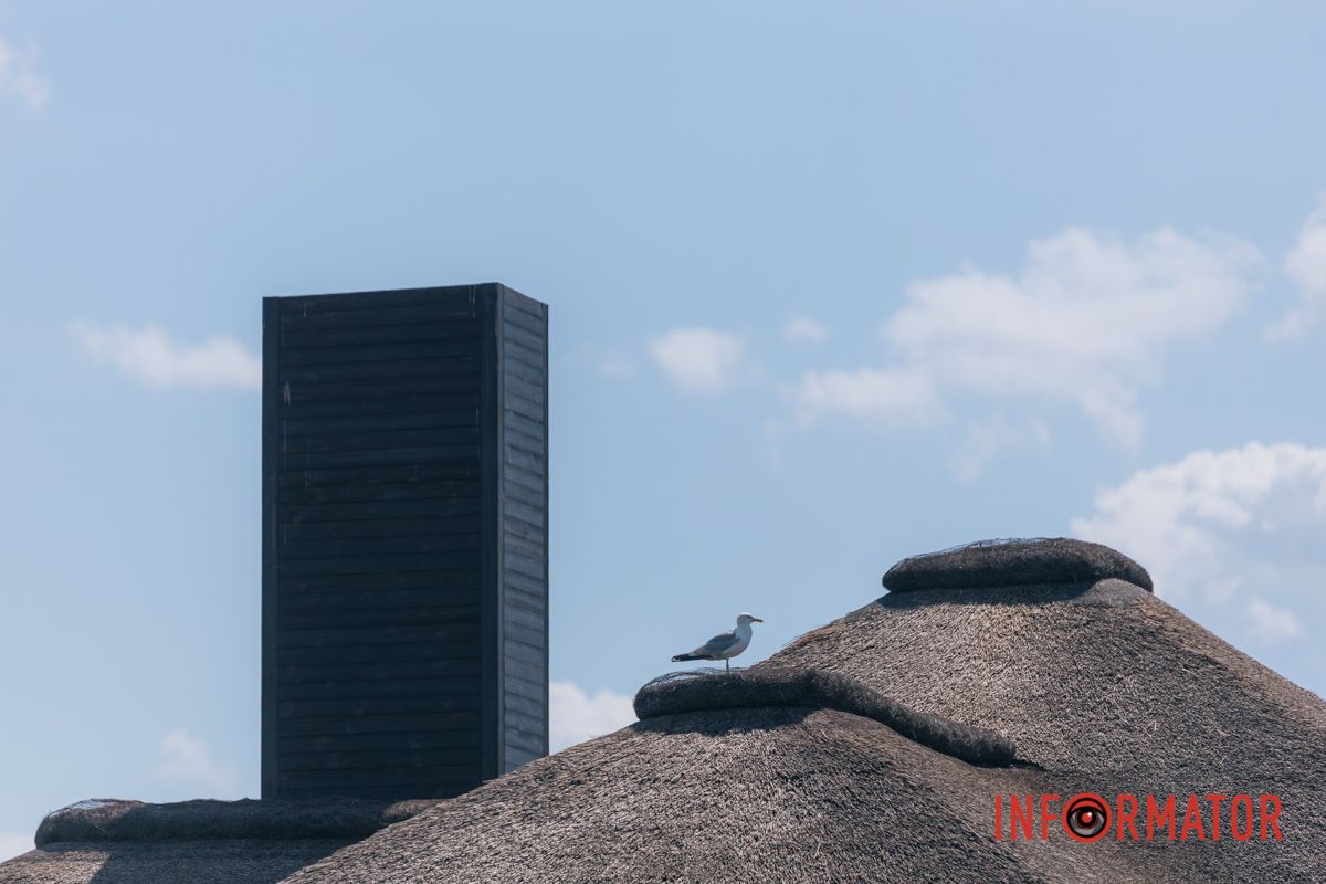 Яхт-клуб "Сечь" летом: уголок природы в сердце Днепра 19