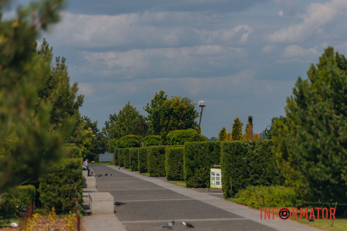 Яхт-клуб "Сечь" летом: уголок природы в сердце Днепра 47