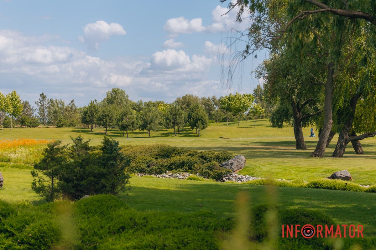 Яхт-клуб "Сечь" летом: уголок природы в сердце Днепра 51