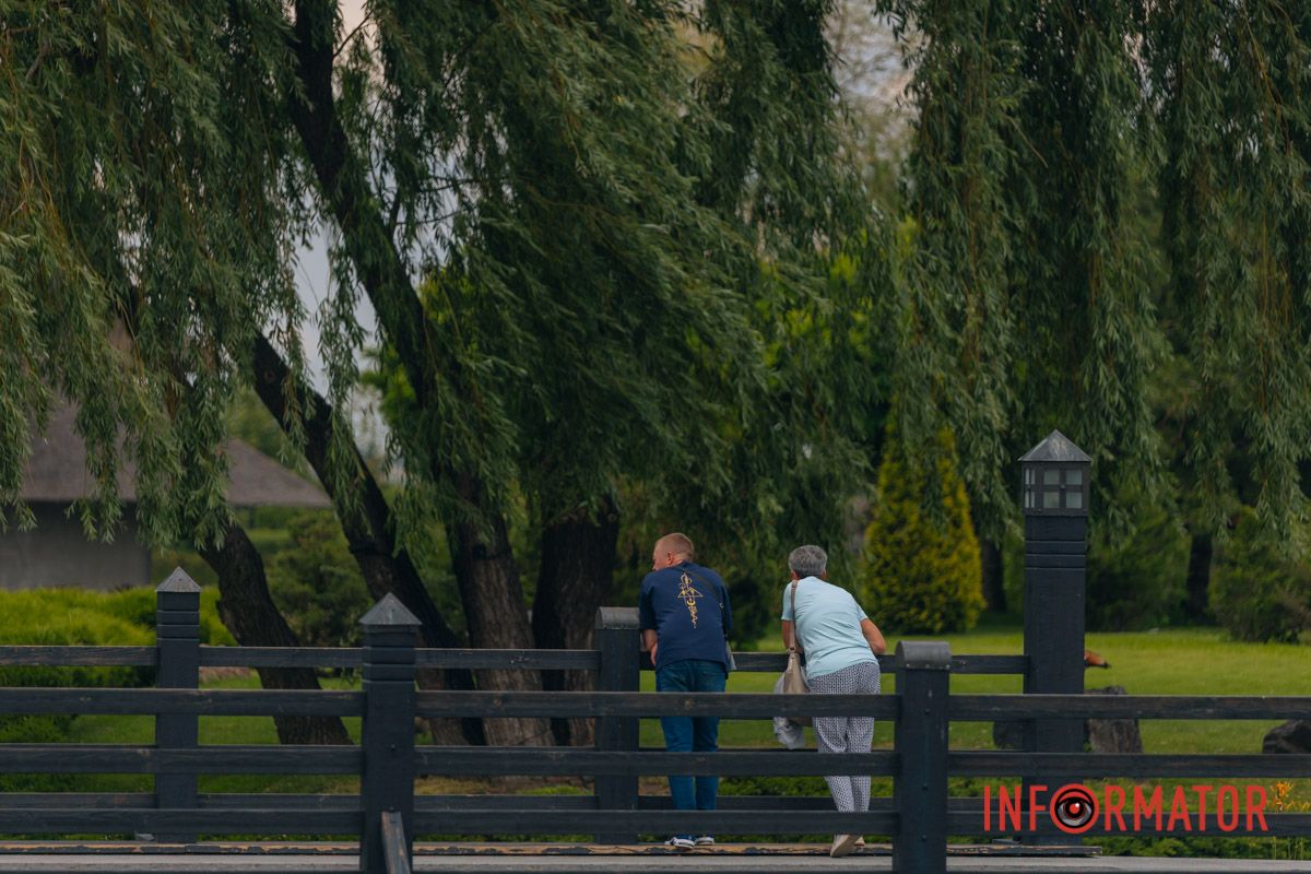 Яхт-клуб "Сечь" летом: уголок природы в сердце Днепра 73