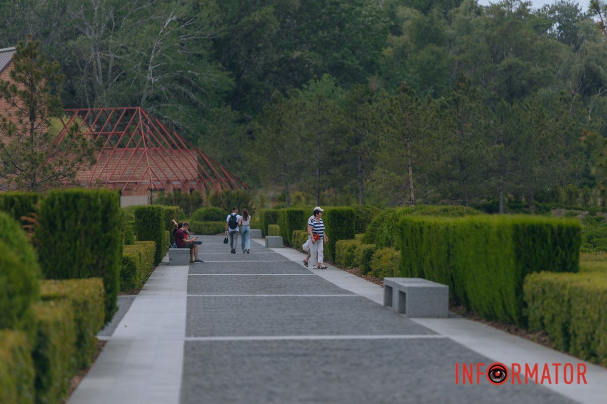 Яхт-клуб "Сечь" летом: уголок природы в сердце Днепра 87