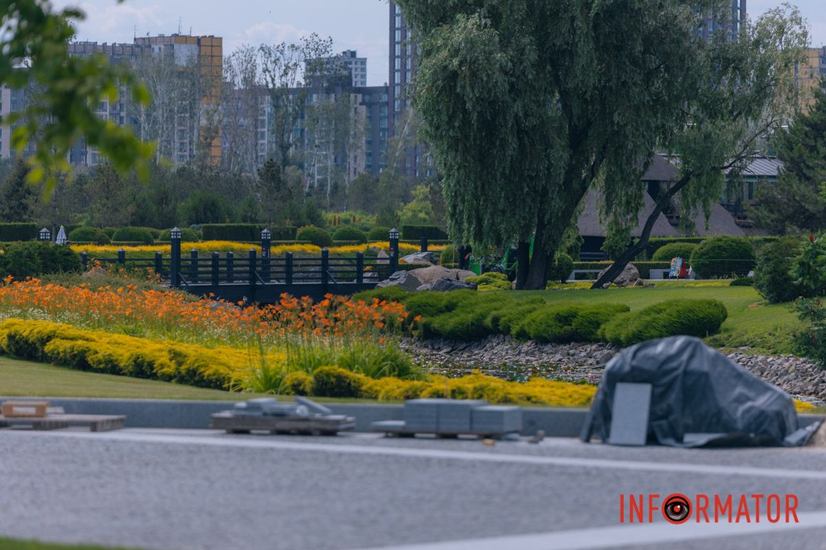 Яхт-клуб "Сечь" летом: уголок природы в сердце Днепра 104