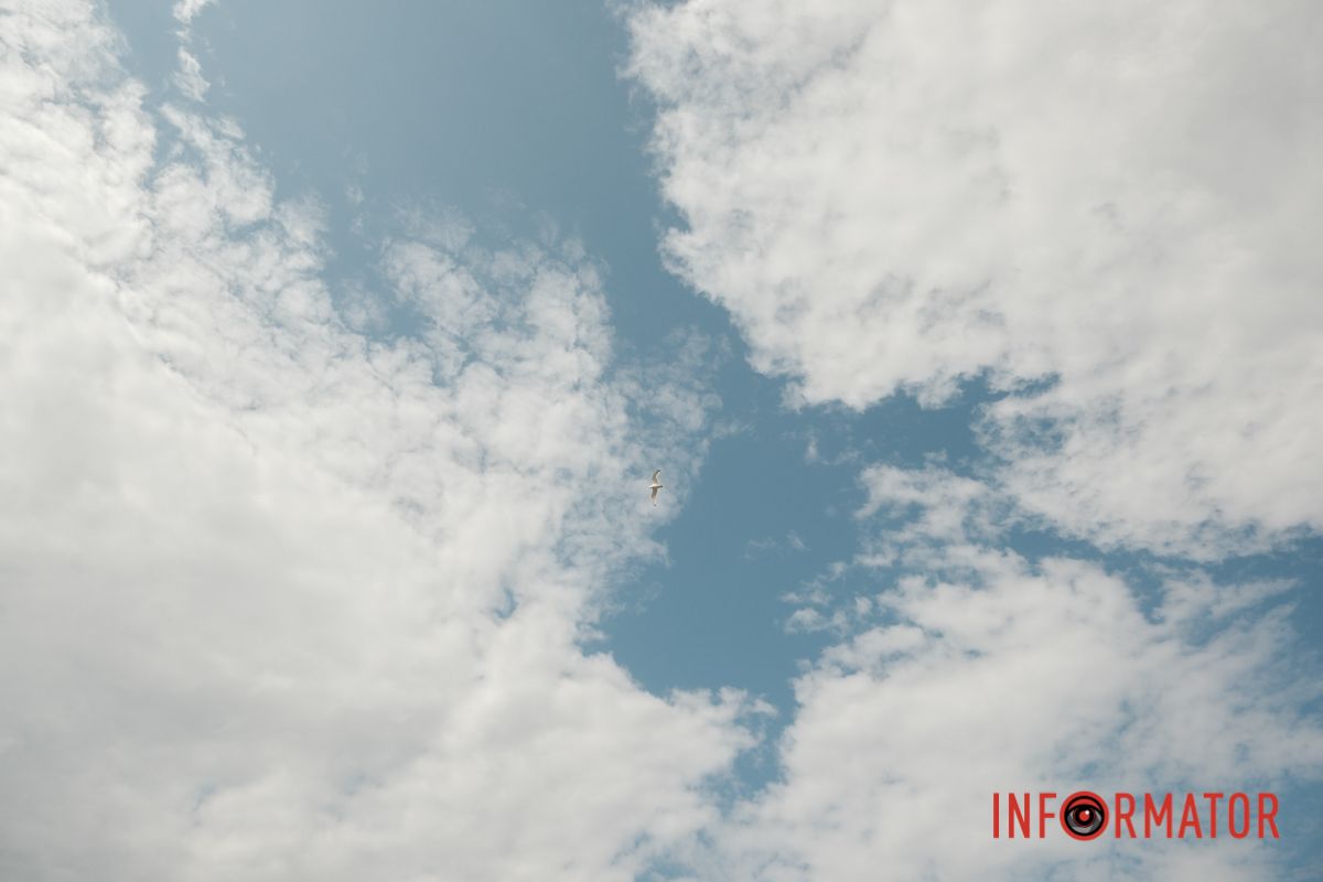 Яхт-клуб "Сечь" летом: уголок природы в сердце Днепра 114