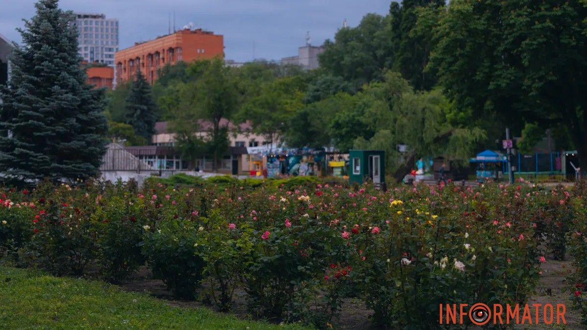 У Дніпрі 22 червня буде хмарно, ввечері очікується дрібний дощ