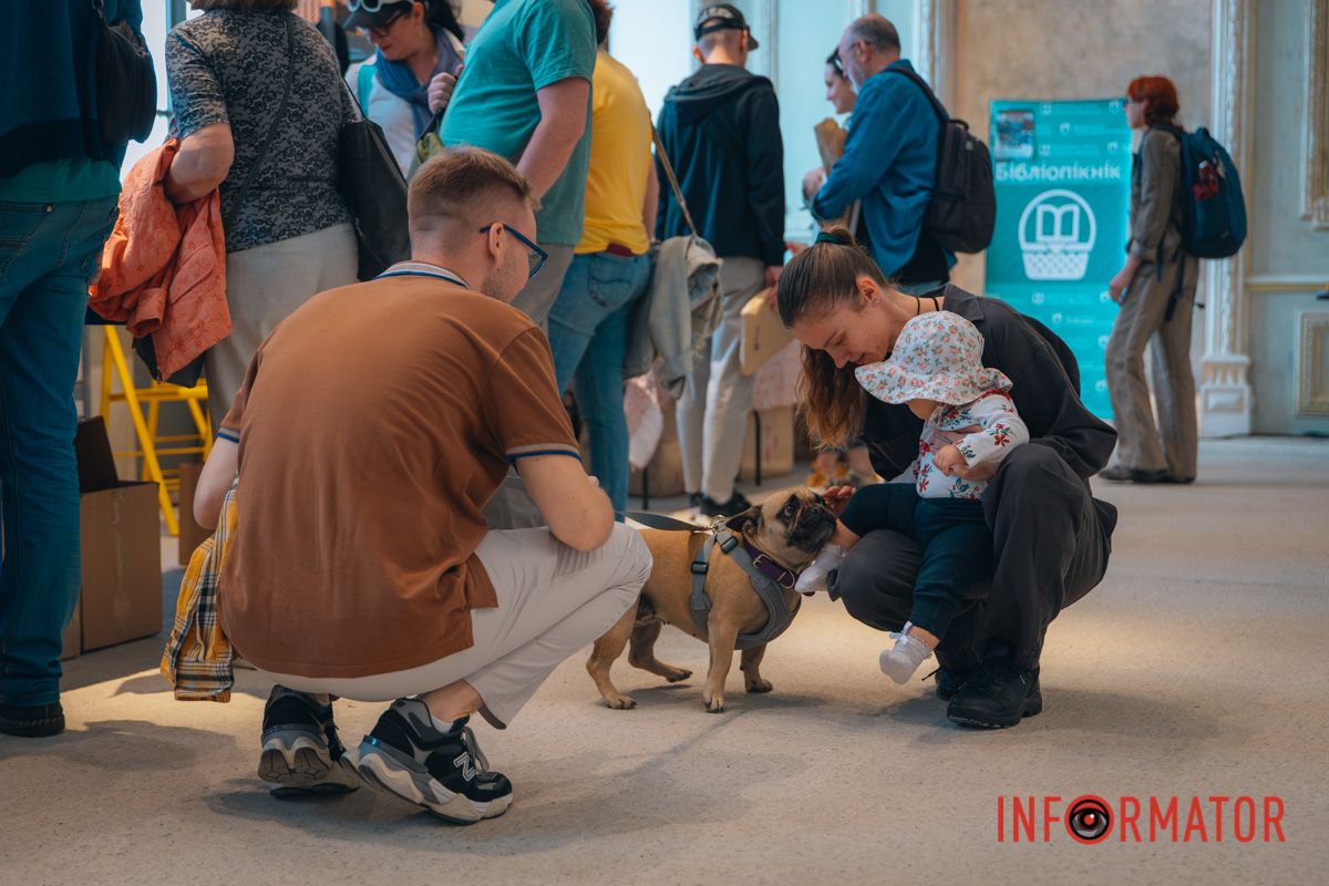 Чотирилапий друг