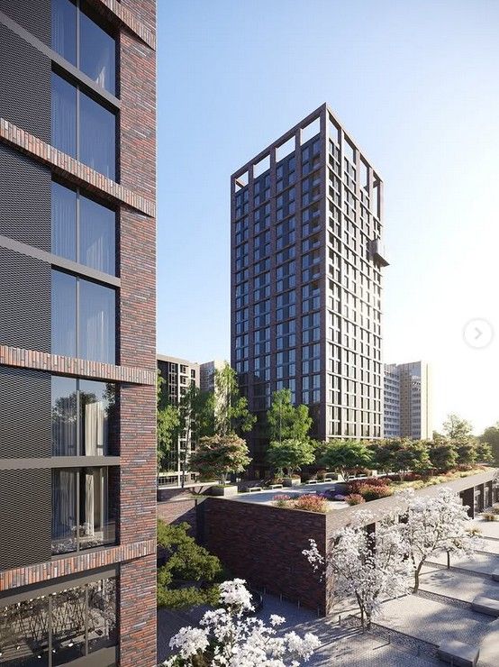 marshall.daytona marshall.daytona