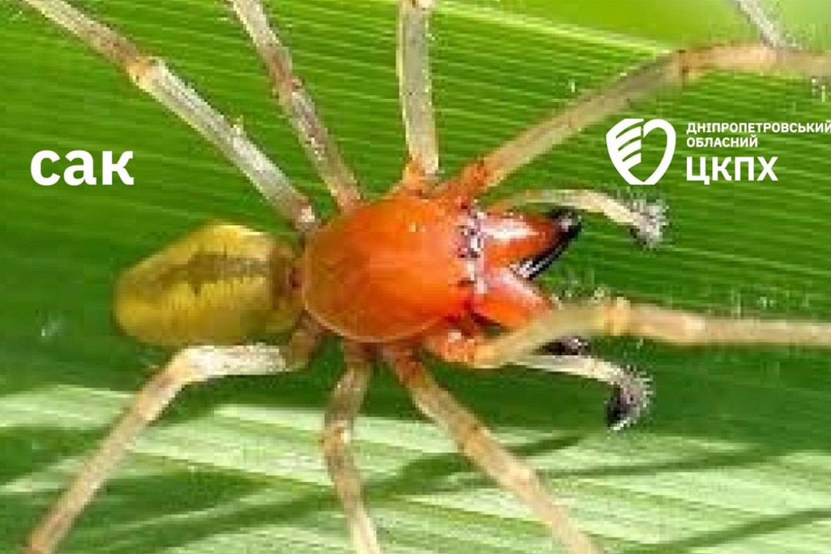 Будь осторожен.