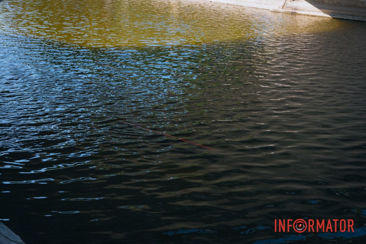В Днепре утонул катамаран с пассажирами: что произошло в парке Глобы 5