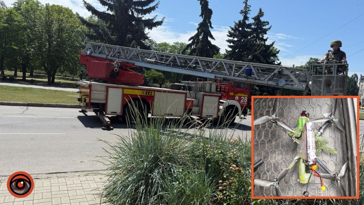 Застряг на ялинці: у Нікополі знешкодили ворожий дрон, який не здетонував