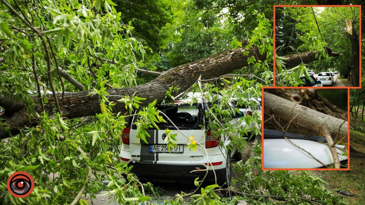У Дніпрі на ж/м Тополя-2 дерево впало на припарковану автівку та повисло на дротах