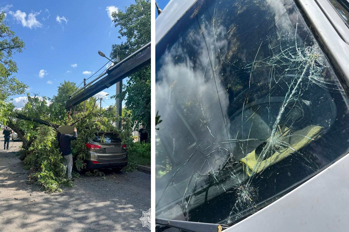 И уже были зафиксированы случаи падения веток на автомобиле на Святогорской и Гвардейской улицах.