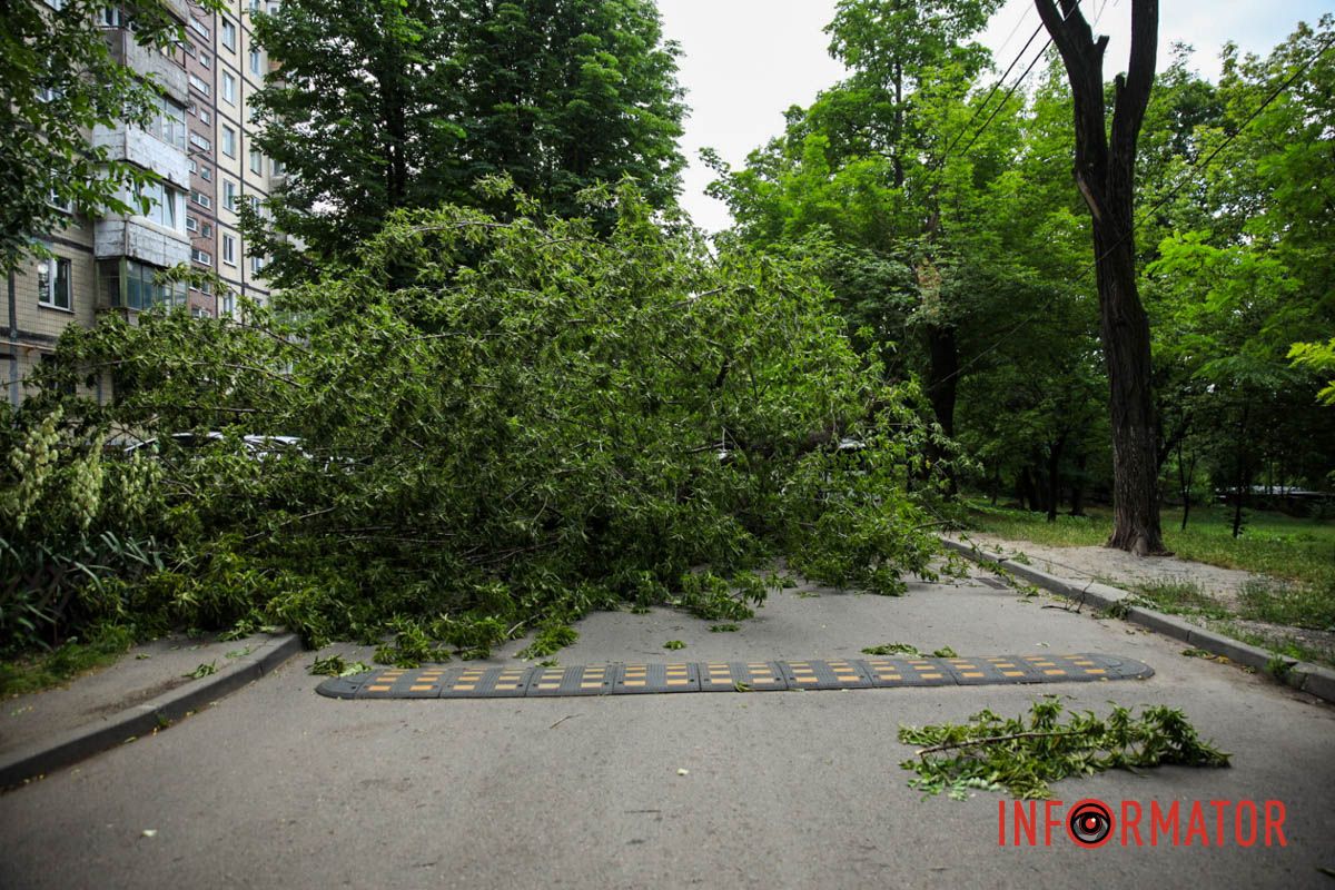 Инцидент произошел у дома №3, корпус 5