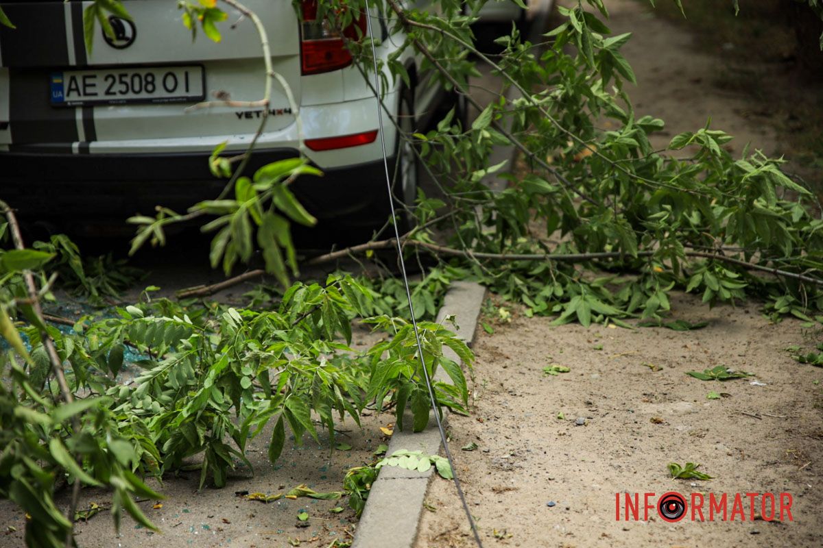 Дерево повредило крышу машины и повисло на проводах.