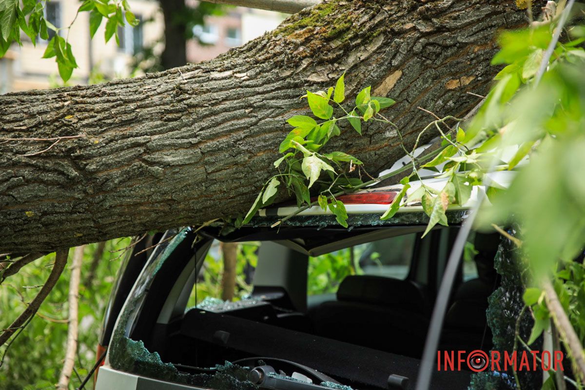 По состоянию на 15:41 чрезвычайных служб и коммунальщиков пока нет