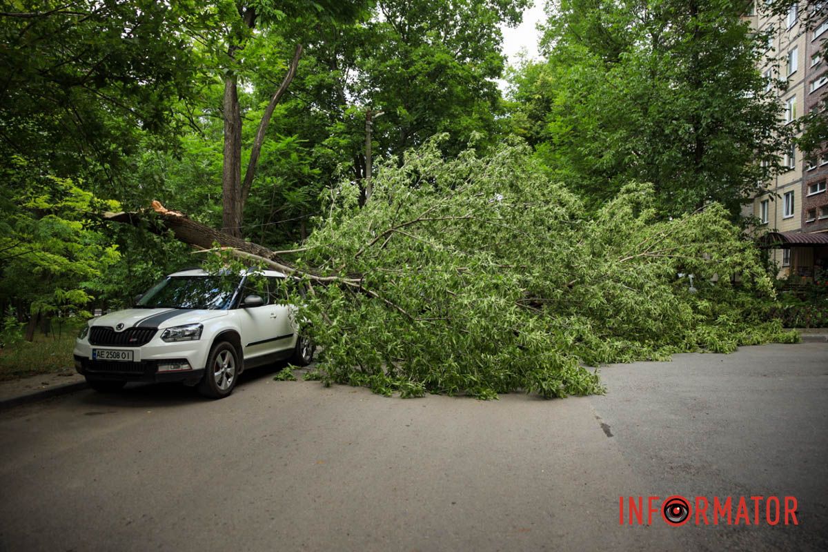 В Днепре на ж/м Тополь-2 дерево упало на припаркованный автомобиль и повисло на проводах 15