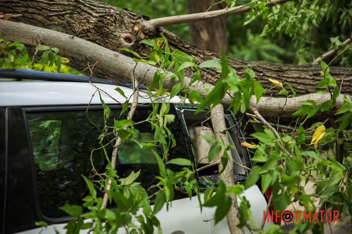 А также не парковать вблизи них транспортные средства