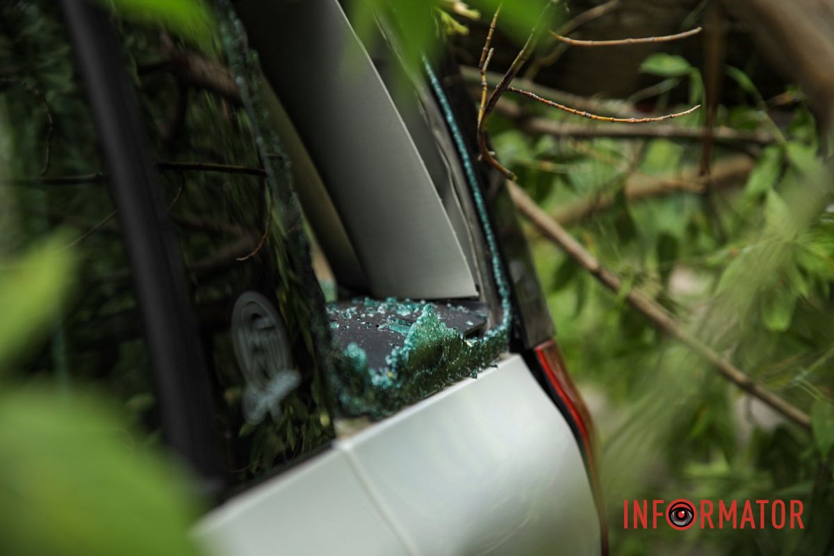 Фото: Максим Якушев