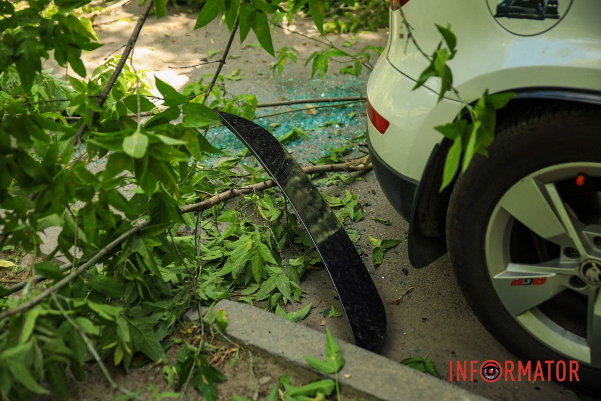 В Днепре на ж/м Тополь-2 дерево упало на припаркованный автомобиль и повисло на проводах 14