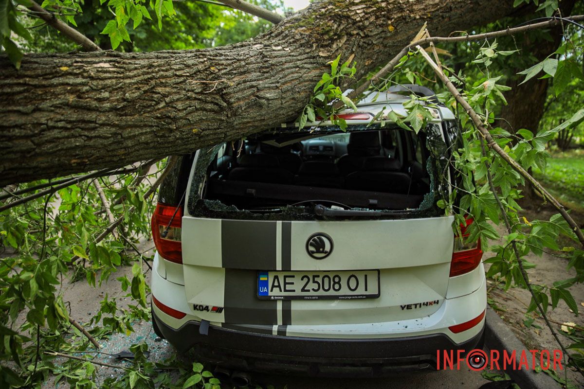 Кроме этого, правоохранители советуют держаться подальше от рекламных щитов