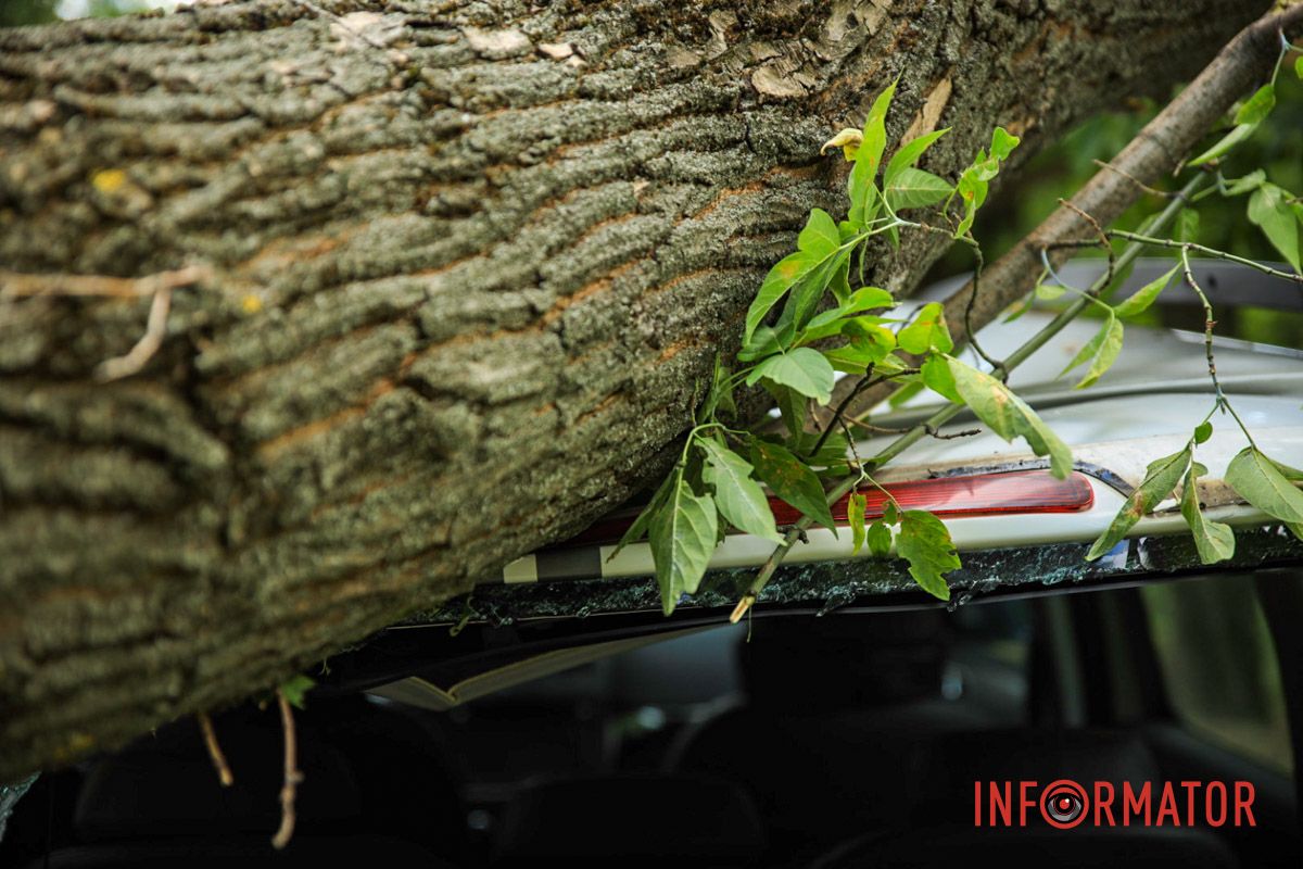 Также в патрульной полиции предупреждали о сильном ветре