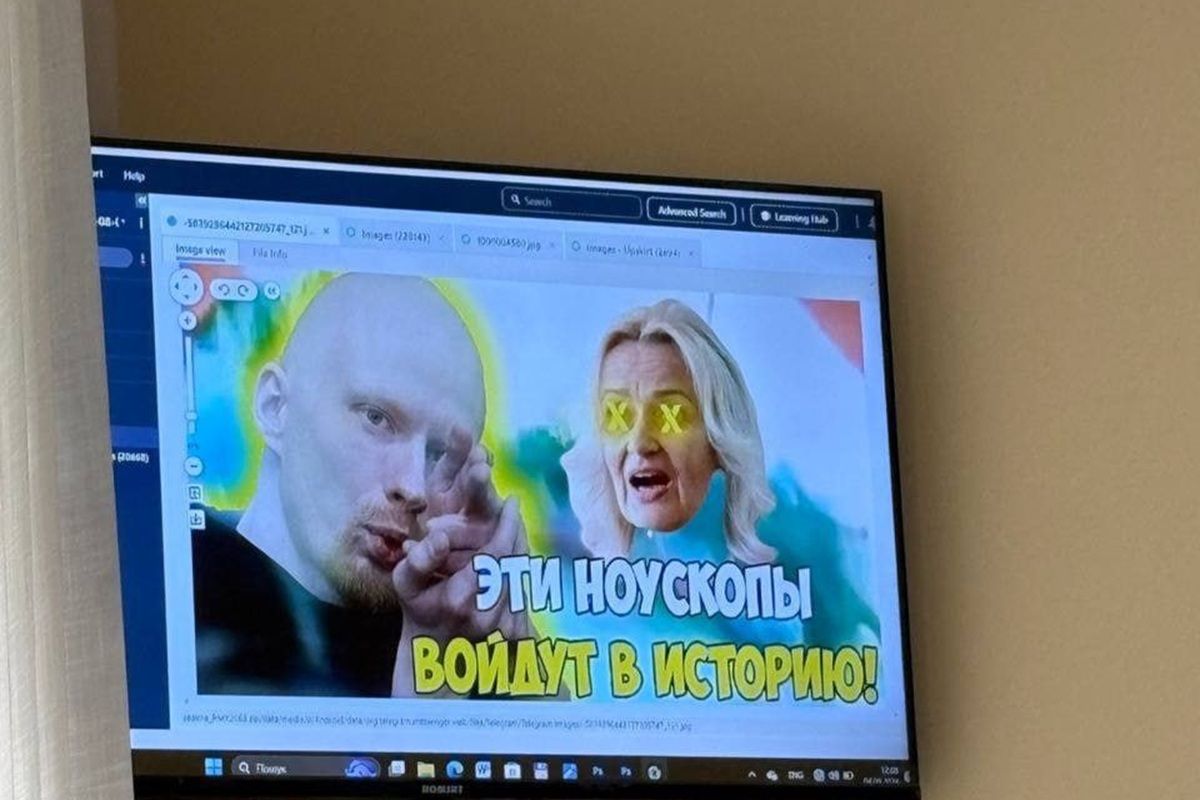 Также в гаджете нашли фото, на которых высмеивается Фарион