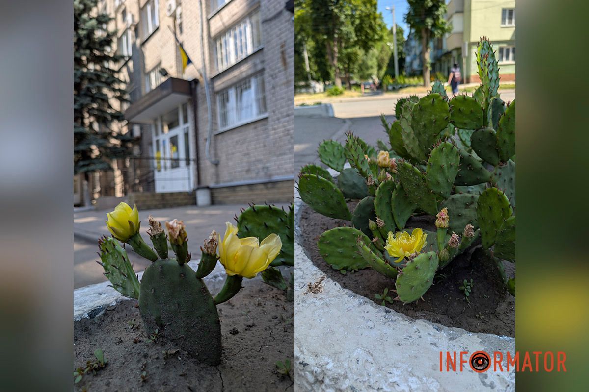 Фото: Владимир Колесниченко