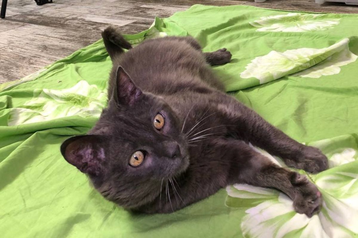 Бусінка Бусінка