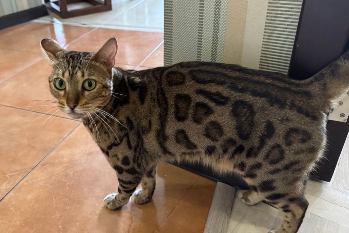 Бусінка Бусінка