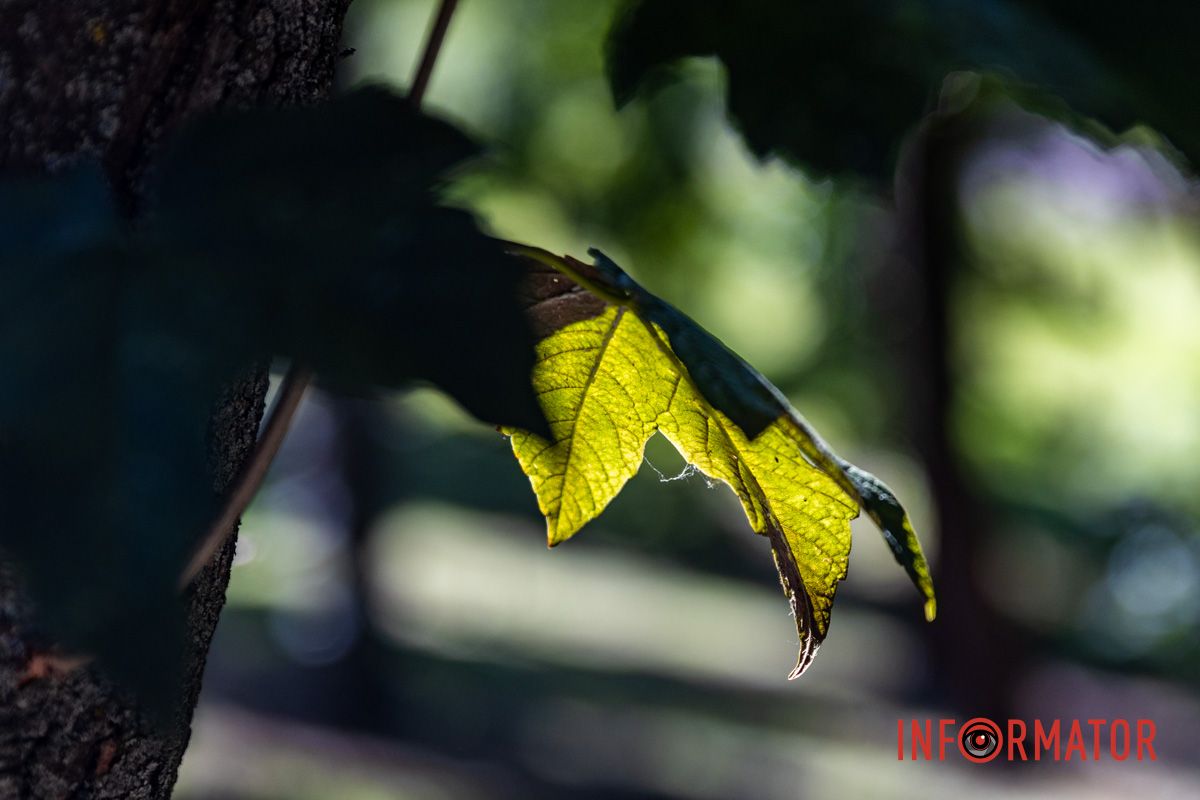 Когда должны завершить работы - не отмечается