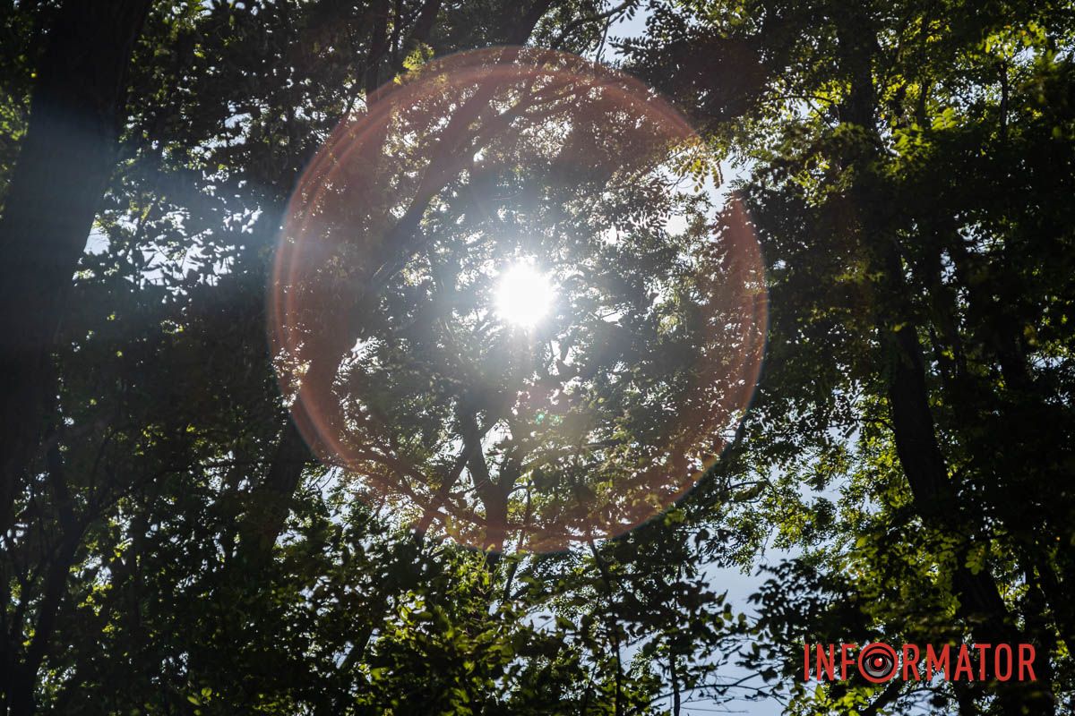 Фото: Дмитрий Дворский