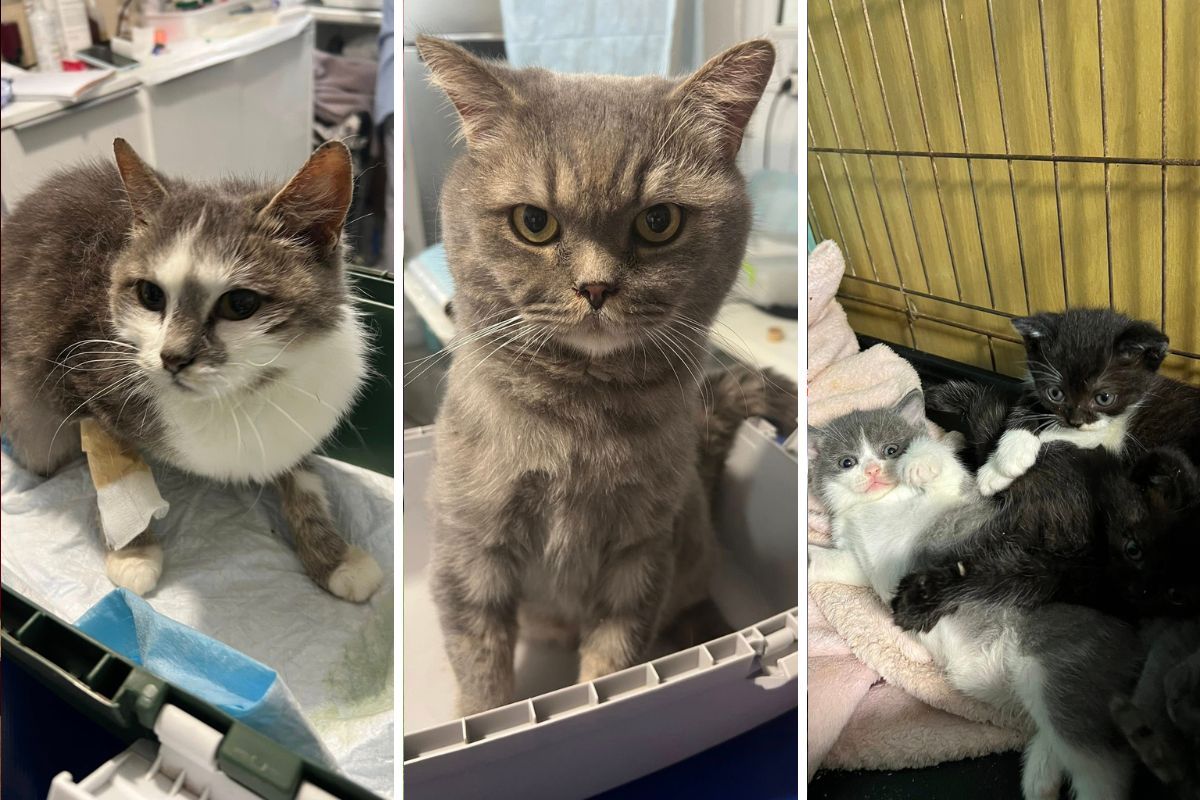 З надією на турботу у нових родинах З надією на турботу у нових родинах