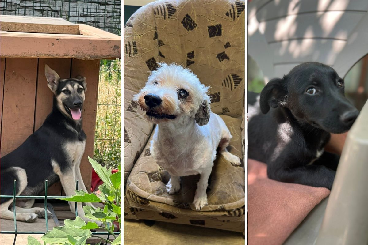 Мініпритулок "Промінчик надії" Мініпритулок "Промінчик надії"