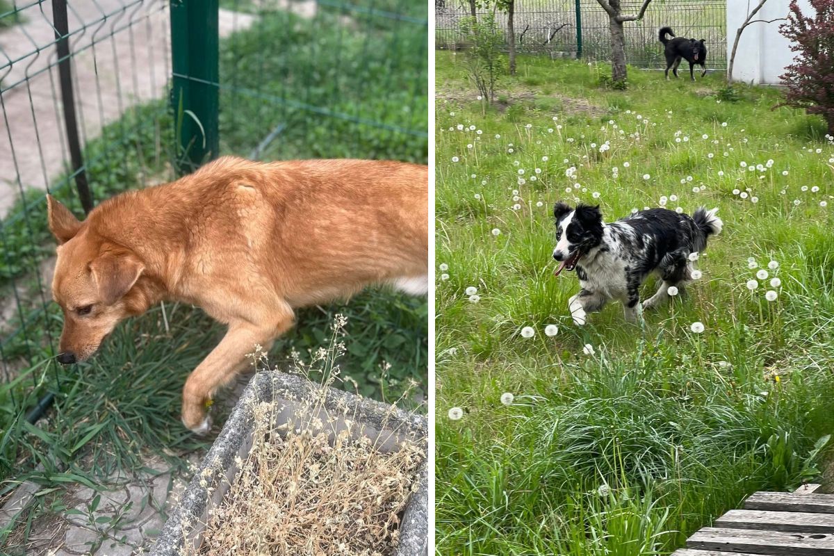 Можливо, один з них чекає саме на вас Можливо, один з них чекає саме на вас