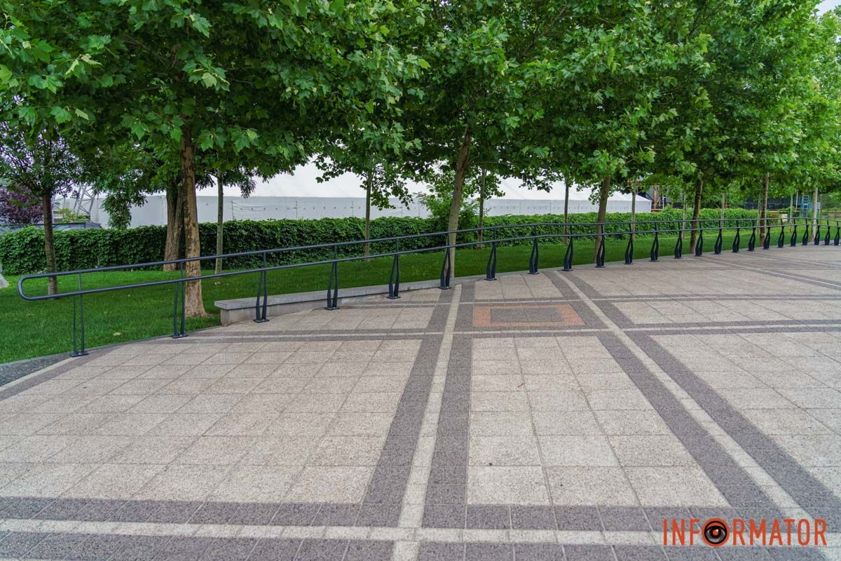 Зеленые деревья