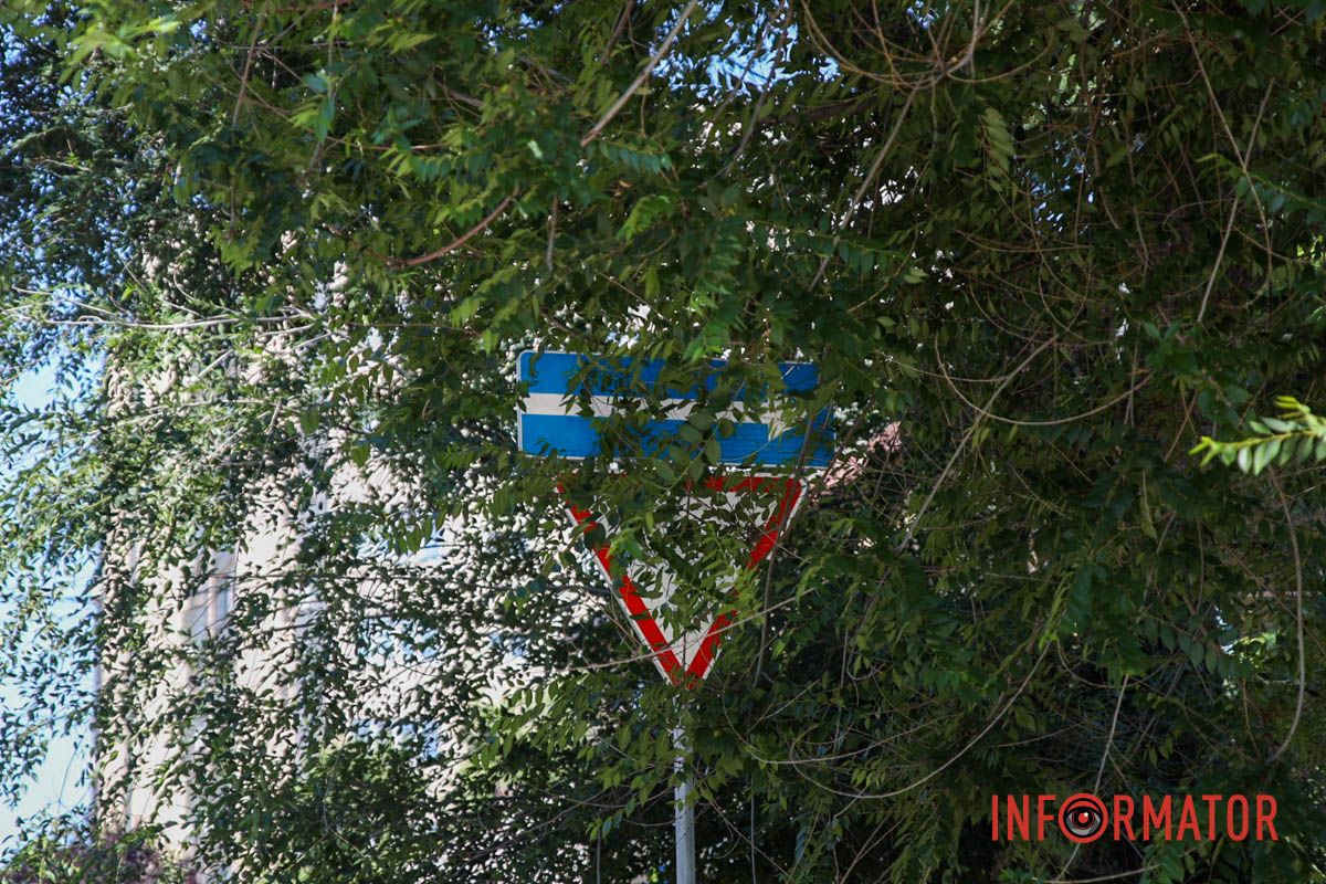 Знаки за гілками дерева У Дніпрі на Січових Стрільців дорогу не поділили Mercedes та Chevrolet: є постраждалий 12
