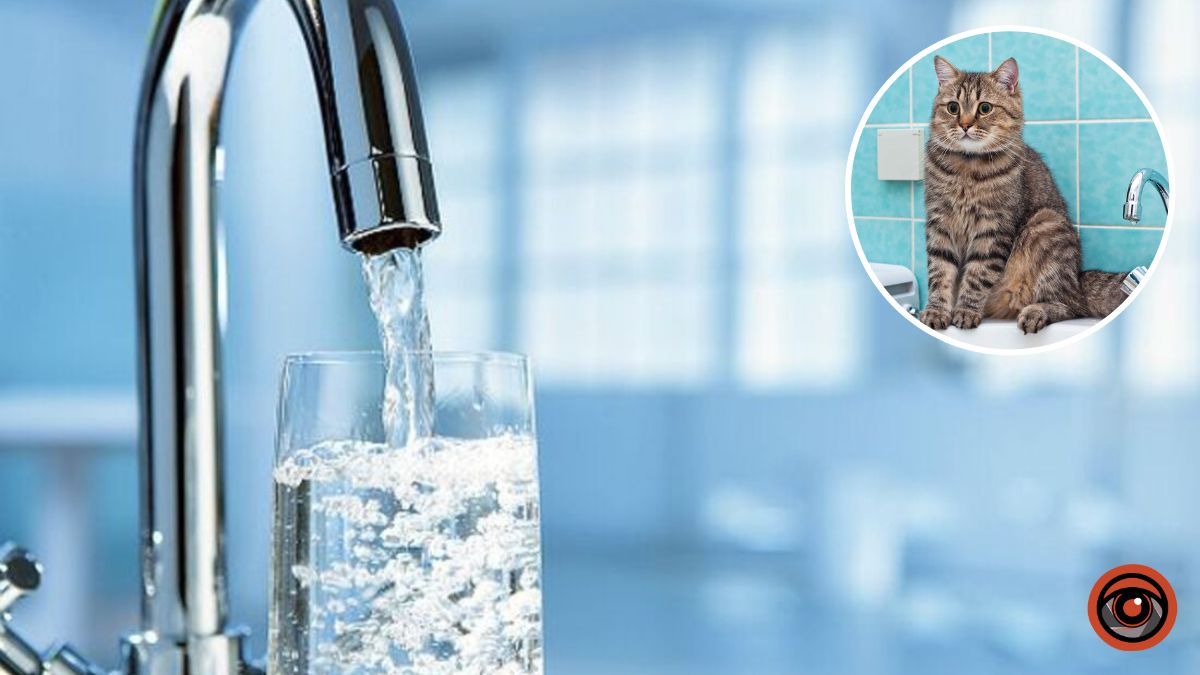 У Дніпрі на Монастирському острові та деяких вулицях вимкнули воду: адреси