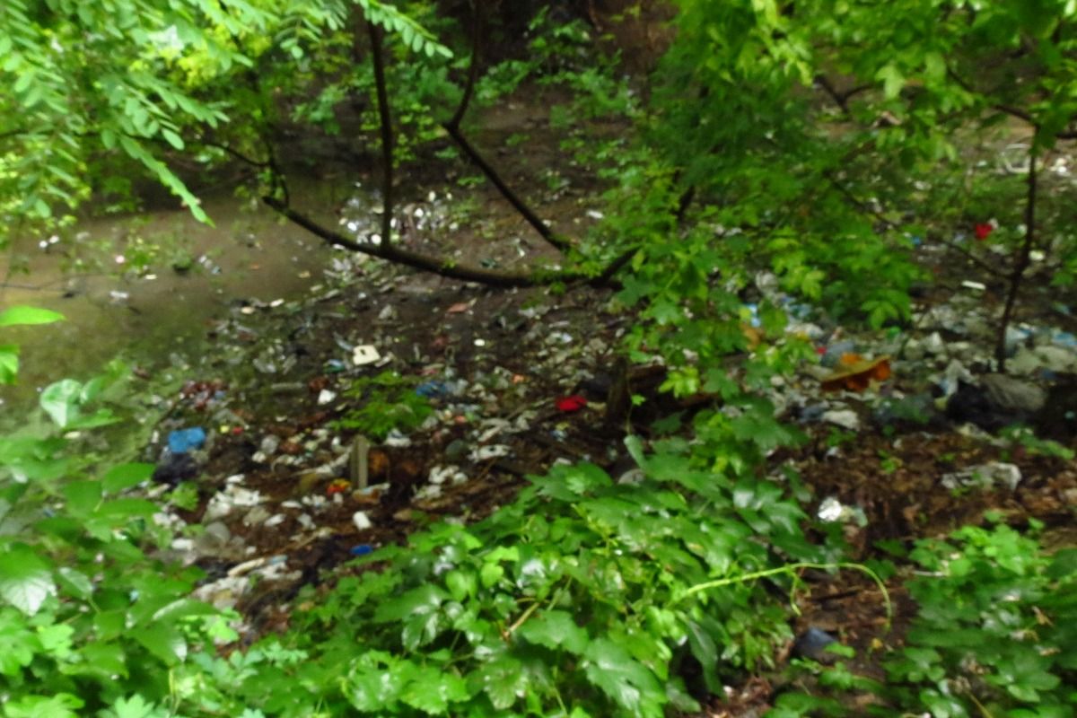 Навколо ставка - купи сміття Навколо ставка - купи сміття